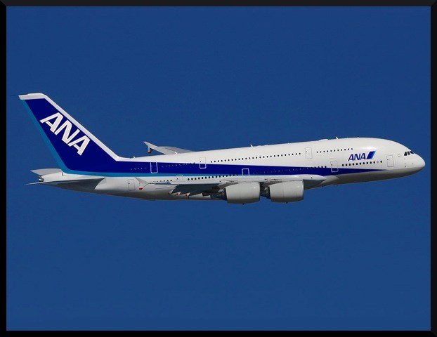 ana a380 パイロット